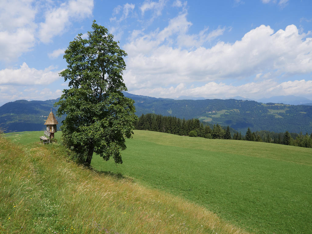 Alpengasthof Moser Karchau Zewnętrze zdjęcie